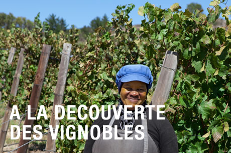 journee-vignoble-cape-town